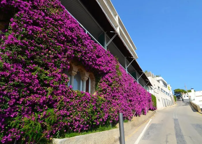 Apartamento Nautic 1-3 L'Estartit